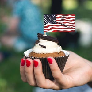 Printable American Flag Cupcake Toppers-PRINT158JPW-personalized flag topper-downloadable printable cupcake-instant topper-digital clip art