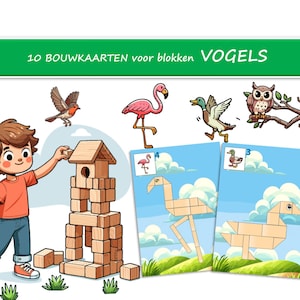 10 byggkort med temat "fåglar"