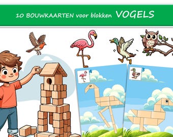 Puede incluir: Ilustración educativa con un niño construyendo una casa para pájaros con bloques, imágenes de pájaros y tarjetas de construcción. El texto dice "10 Tarjetas de construcción para bloques Pájaros". Fomenta el juego creativo.