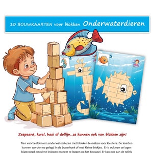 10 Baukarten für Unterwassertiere