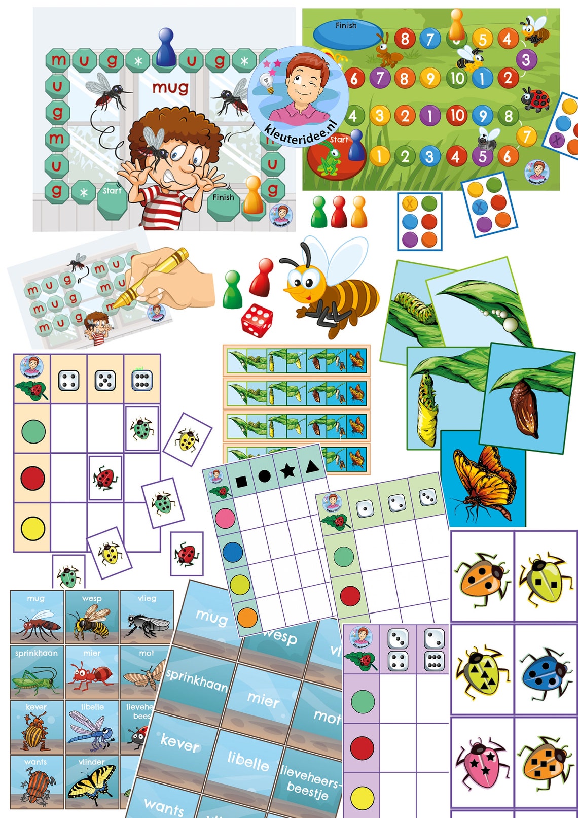 Insects Educational Games - Etsy
