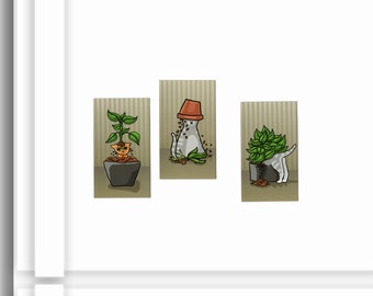 Plant Cats Magnet Set, Refrigerator Magnets, Fridge Decor, Cute Kitchen, Cubicle Decor, Cat Lover Gift