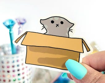 Funny Cat in Box Vinyl Sticker – Waterproof Outdoor Cat Decal