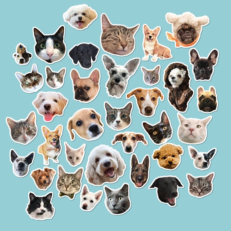 Custom Pet Stickers Pet Portrait Paper Stickers Journaling Etsy