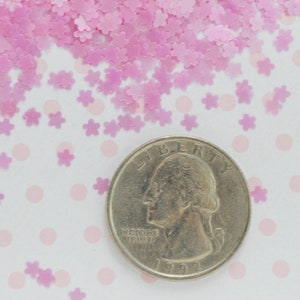 3mm Kawaii Pastel Pink Pearlescent Sakura Cherry Blossom Glitter Resin Supplies Nail Art Decoden Slime 5 grams image 7