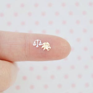 5 mm kleine kawaii dierenriem goud of zilver metallic sterrenbeeld symbolen metaal glitter hars benodigdheden nail art decoderen - set van 50