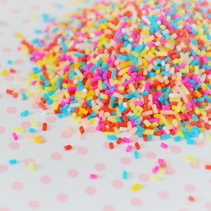 カラフルなレインボーデコデン人工スプリンクル樹脂サプリメントネイルアートデコデンスライムグリッター - 10g