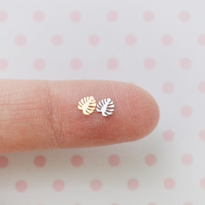 May include: Two small, metal, leaf-shaped charms. One charm is gold and the other is silver.
