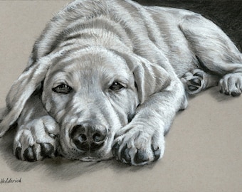 Doc - Faithful reproduction of my Original Charcoal Drawing utilizing archival quality paper & inks, 9"x13.5"