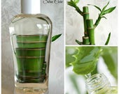Bamboo Aloe Herbal Shampoo - 4 oz Bottle, Bamboo Extracts, Silica Rich, Collagen, Calcium, Mineral Rich, Pro-Vitamin B5, Silk Aminio Acids