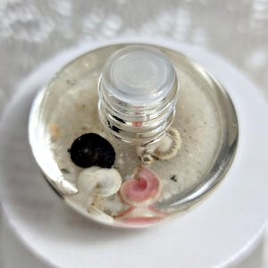 May include: A clear bottle stopper with a transparent top and a base filled with sand and small seashells. The base includes a black, white, and pink seashell. The stopper is designed to fit on a bottle.