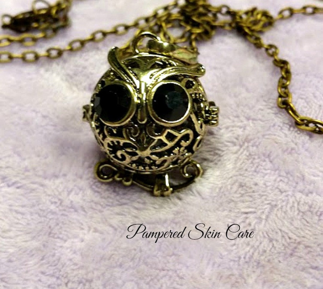 Owls Are Cool Aromatherapy Locket Lava Rock Diffuser Stress Etsy