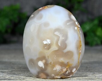 3" Flower Agate Crystal Free form | Crystal Home Decor | Perfect Spiritual Gift for the Lightworker in Your Life | C37