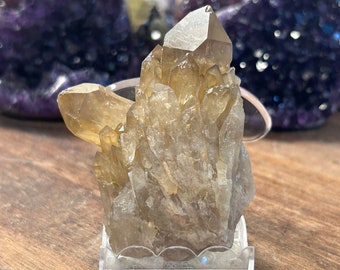 3" Congo Citrine Crystal Cluster | Kundalini Citrine Quartz Crystals | C73