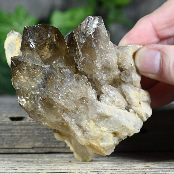 3" Tall Congo Citrine Crystal Cluster | Smoky Kundalini Citrine Quartz Crystals | C155