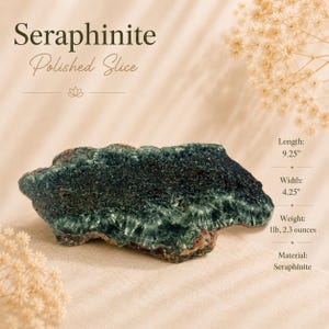 May include: A polished Seraphinite slice, showcasing a dark green color with lighter, feathery inclusions. The stone measures 9.25 inches in length, 4.25 inches in width, and weighs 1lb, 2.3 ounces. The text reads "Seraphinite Polished Slice."