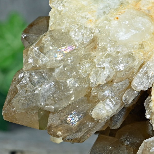 Big 1.6LB Congo Citrine Crystal Cluster | Kundalini Citrine Quartz Crystals | C129