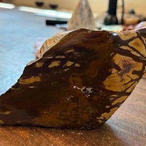 Clearance Crystals | Big Nguni Jasper Freeform Stone | 1.52LB Polished Crystal Face with Raw Sides and Back | A113