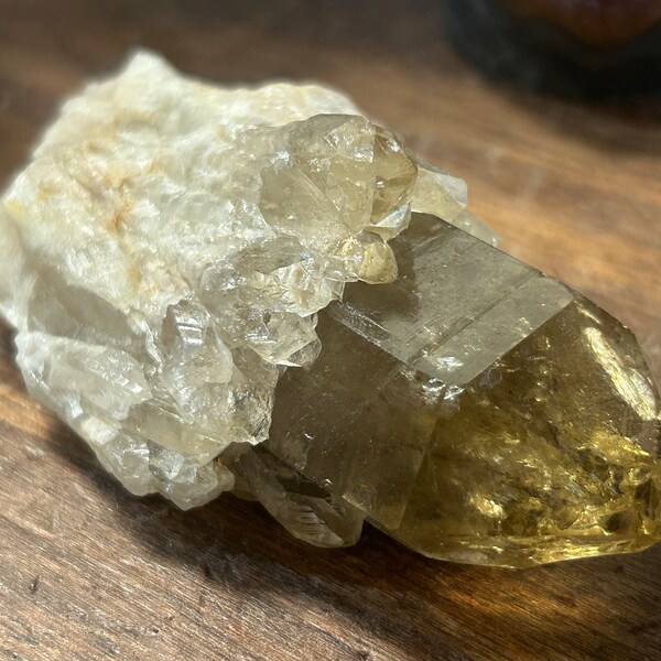 3.5" Congo Citrine Crystal Cluster | Kundalini Citrine Quartz Crystals | A107