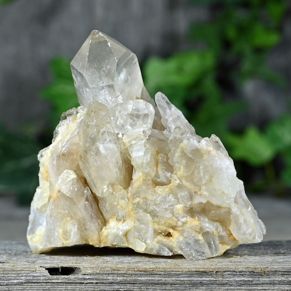 Standing 2.5" Tall Congo Citrine Crystal Cluster | Kundalini Citrine Quartz Crystals | C157