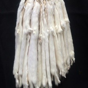 Ermine Pelts