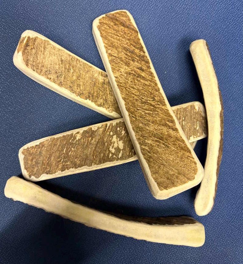 May include: A collection of five natural deer antler chews arranged in a scattered pattern. Each piece features a rough, brown, textured outer surface with smooth, cream-colored edges, showcasing the organic shape and density of the material.