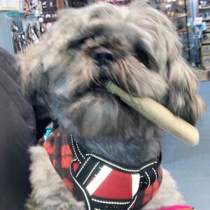 May include: A fluffy gray and white dog with long fur holding a light-colored chew bone in its mouth. The dog is wearing a black and red plaid harness featuring reflective white strips and black adjustable straps across its chest and shoulders.