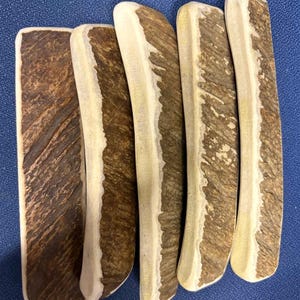 May include: Five elongated, rectangular pieces of natural deer antler, each featuring a rough, dark brown textured outer surface contrasted by smooth, cream-colored edges. The pieces are arranged side-by-side, displaying varied organic patterns.