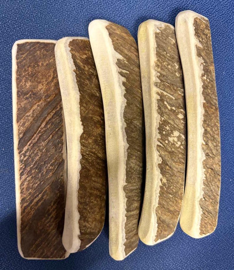May include: Five elongated, rectangular pieces of natural deer antler, each featuring a rough, dark brown textured outer surface contrasted by smooth, cream-colored edges. The pieces are arranged side-by-side, displaying varied organic patterns.