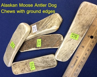 Moose Antler Dog Chew