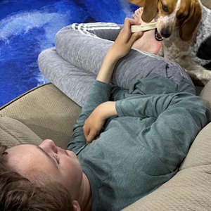 May include: A beagle dog with brown and white fur chews on a light-colored bone held by a hand. The dog has long ears and a spotted coat, while the bone is rectangular and smooth. The scene captures the interaction between the dog and the treat.