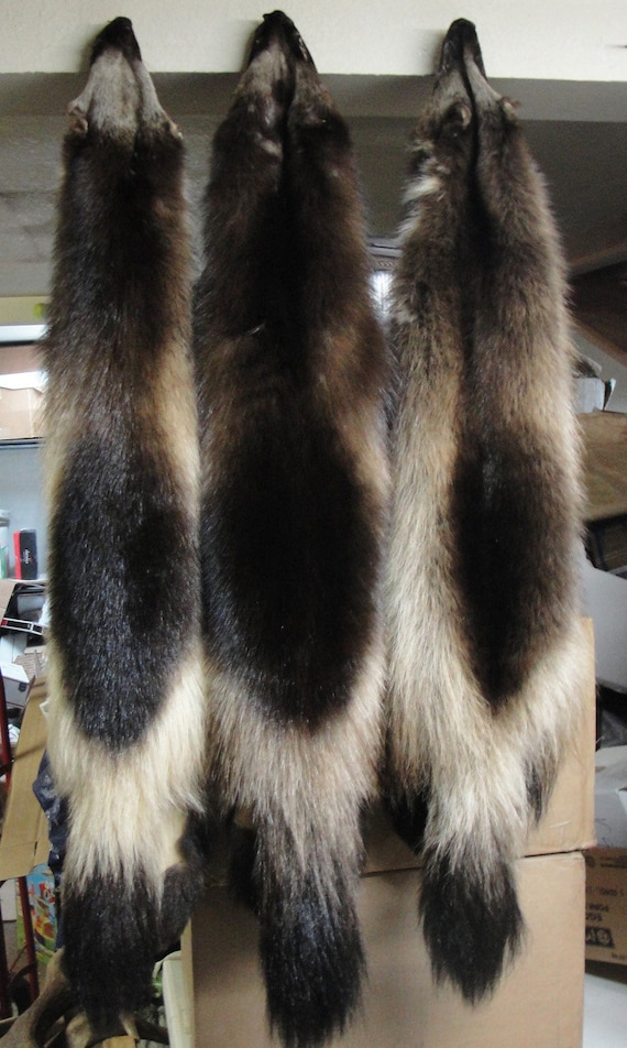 Wolverine Pelt | Etsy