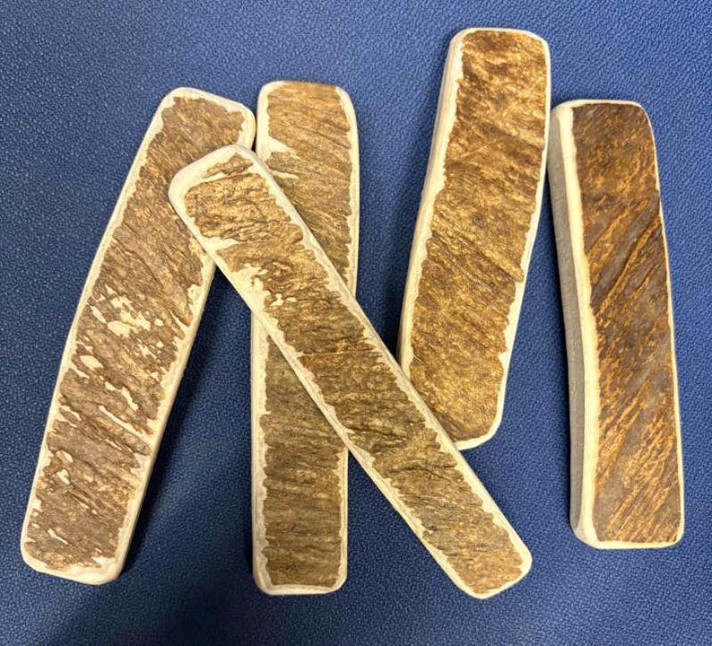 May include: Five rectangular pieces of deer antler, each featuring a rough, textured brown outer bark surface and smooth, cream-colored edges. The pieces are arranged in a scattered, overlapping pattern, showcasing the natural variations in the brown grain.