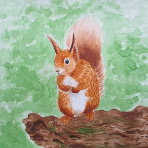 Red squirrel painting, red squirrel original watercolour painting, squirrel watercolour, not a print, wall decor gift, hand-painted picture