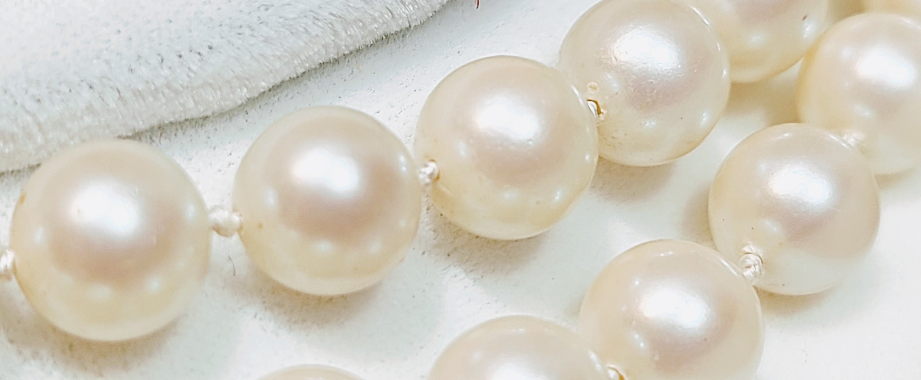 Chatani pearls by sale haskell