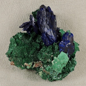 Azurite Crystals on Malachite, Azurite  Crystals Milipillas, Mex. M1061, From Arizonacrystalco