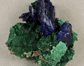 May include: A cluster of blue azurite crystals on a bed of green malachite. The azurite crystals are sharp and well-defined, while the malachite is more rounded and textured.
