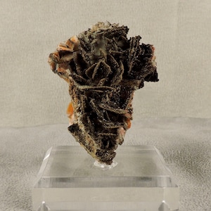May include: A cluster of orange and brown crystals on a clear acrylic stand. The crystals are arranged in a random pattern and have a rough, textured surface.