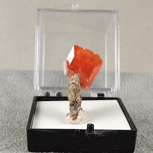 Red Cloud Wulfenite Specimen, Red Cloud Wulfenite, Collectable, Vintage, Rocks and Minerals, Gift Specimen, M2520, Arizonacrystalco