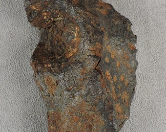 Canyon Diablo Nickel Iron Meteorite: Coarse Octahedrite From Arizona