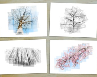 Roots & Branches - Set of 4 Prints - nature photography, tree photograph, nature art, tree silhouette, art set, cherry blossoms, tree print