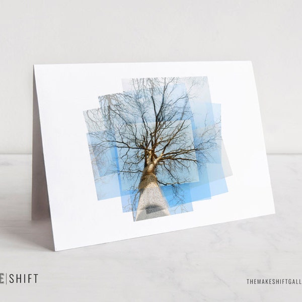 Roots & Branches No. 1 Notecard - nature photography, stationery, branches, photography card, tree silhouette, blank notecard, greeting card