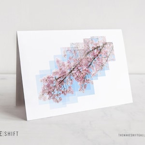4 Notecard Roots & Branches - fotografia da natureza, papelaria, flores de cerejeira, flores, galho de árvore, notecard em branco, cartão de felicitações