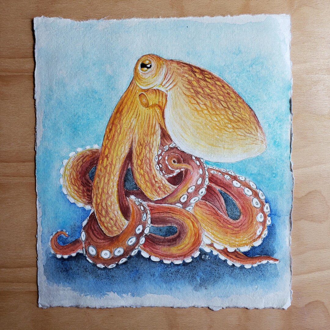 Red Octopus Watercolor Painting Art Wildlife Fine Art One of a Kind - Etsy