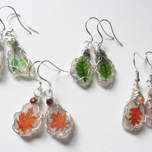May include: Three pairs of silver wire wrapped earrings with pressed leaves and beads. The first pair features green leaves, the second pair features green leaves, and the third pair features orange leaves.