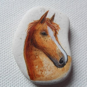 May include: Hand-painted stone with a detailed portrait of a brown horse's head. The horse has a white stripe on its face and a light brown mane.