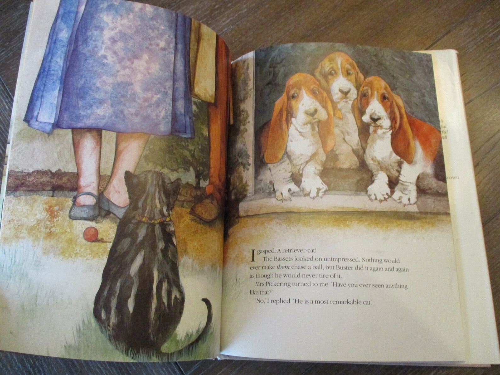 The Christmas Day Kitten by James Herriot The Christmas Day Kitten by James Herriot