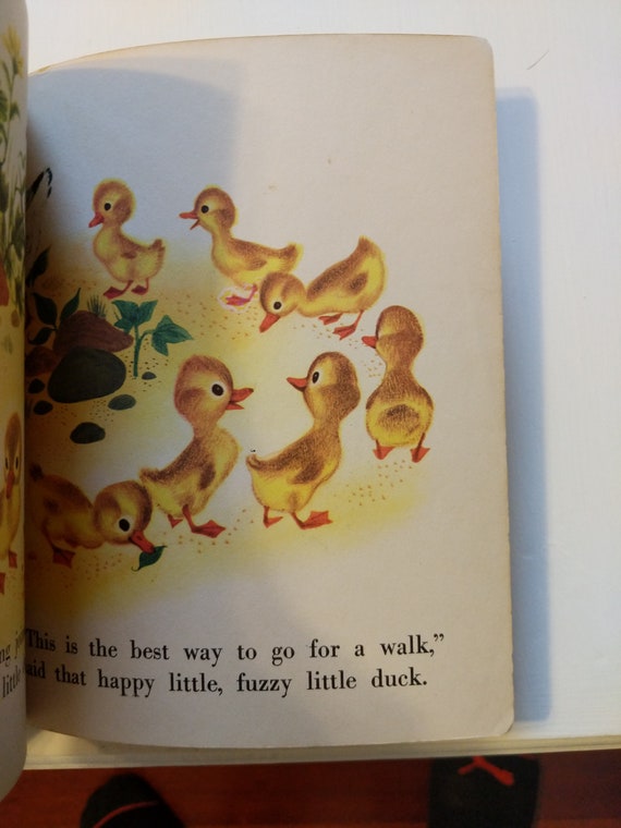 Little Ducks Go [Book]