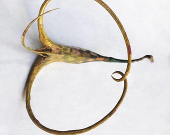 1 Large Devil Claw Seed Pod Hand Painted Art by Miriam Slater Yellow Oil Painting with Rhinestones