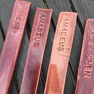 Könnte beinhalten: Vier terracottafarbene Pflanzenmarkierer mit den Namen "Salbei", "Amadeus", "Amadeus" und "Halschen" in weißer Schrift.